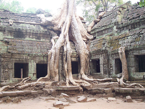 /dateien/it46352,1222008735,Angkor-Wat-Cambodia-ta-prohm-red-betty-black-best-picture-gallery