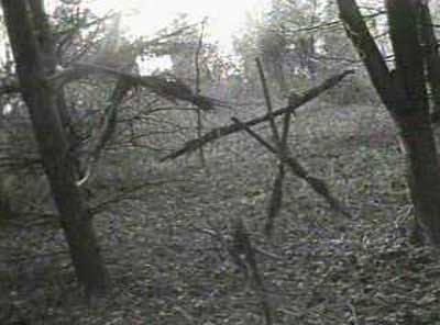 /dateien/mt65844,1284421106,blair-witch-project-photo2