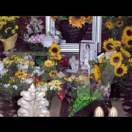 /dateien/np62480,1274644909,michael jackson tomb sunflower 06 full