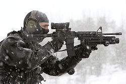 /dateien/pr43265,1288476704,250px-Diemaco C8 carabine with Elcan C79 sight and grenade launcher
