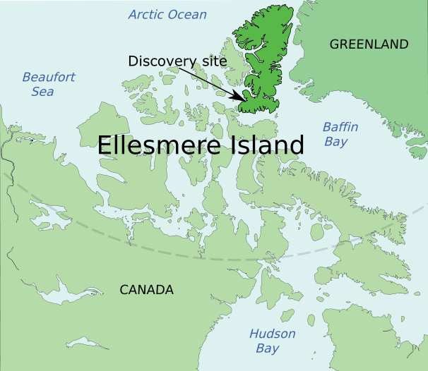 /dateien/rs3448,1254478956,Ellesmere Island - Tiktaalik discovery site