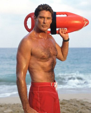 /dateien/rs65407,1284113941,david-hasselhoff