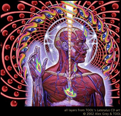 alex grey wallpaper. alex grey wallpaper. alex grey wallpaper. art grey