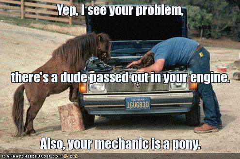 Funny Pictures Uh43048,1236519233,funny-pictures-pony-mechanic