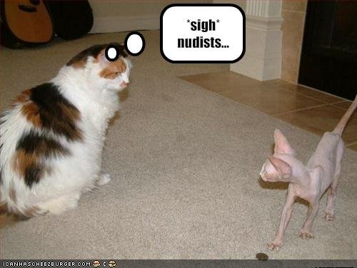 uh43048,1295752504,funny-pictures-cat-does-not-like-nudists.jpg