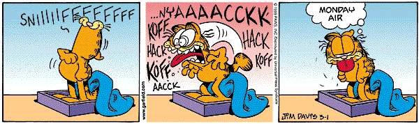 uh44337,1223935874,garfield_monday.jpg