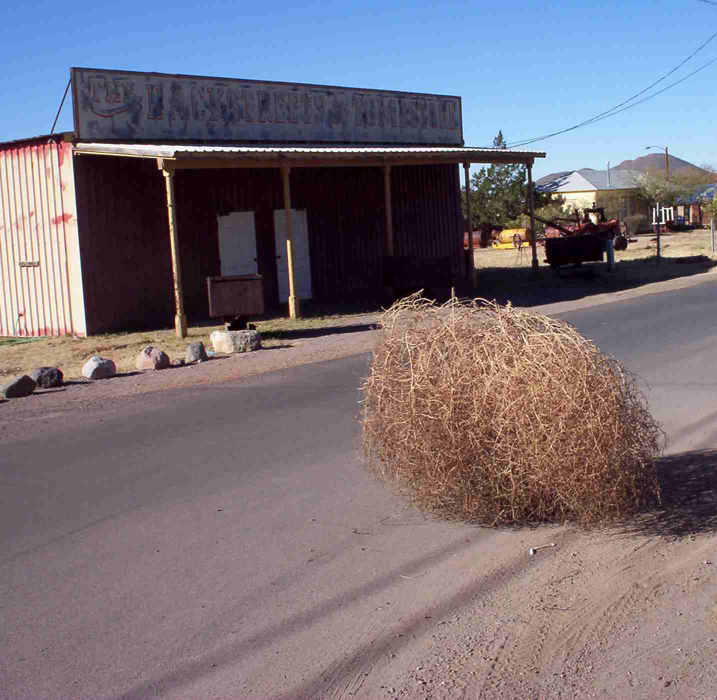 uh44337,1236691646,tumbleweed.jpg