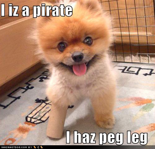 /dateien/uh51630,1246625215,cute-puppy-pictures-peg-leg-pirate