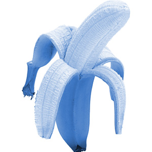 /dateien/uh57679,1259619872,blaue banane
