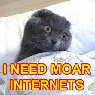 /dateien/uh67822,1289949971,Cat Moar Internets