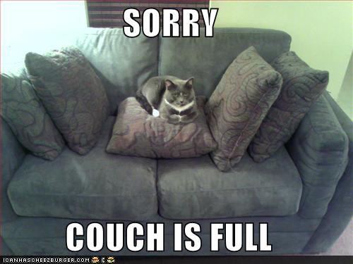 /dateien/vo68797,1294951840,funny-pictures-couch-is-full