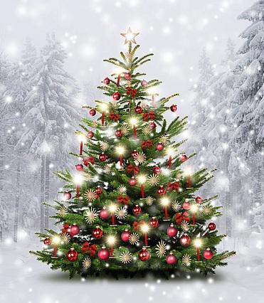 csm Weihnachtsbaum 1be4c295fc