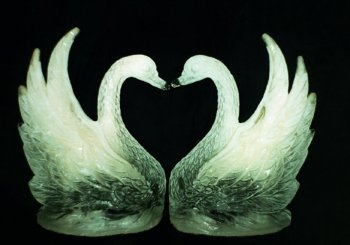 Swan mas