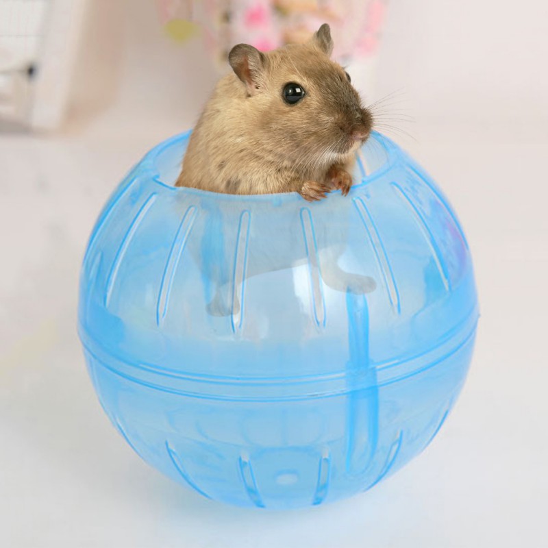 Plastic-Hamster-Toys-Rabbit-Running-Ball