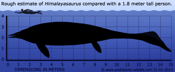 himalayasaurus-size