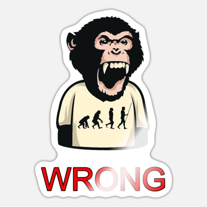 affe-schimpanse-wrong-falsch-evolution-f