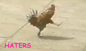 haters-cock