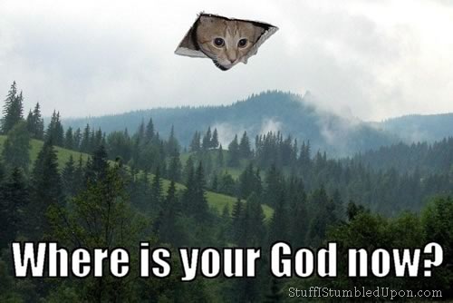 where-is-your-god-now-cat-cats-meme-kitt