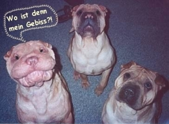 Der Own3d Bilderthread ea15c3 Fabi-1103990626