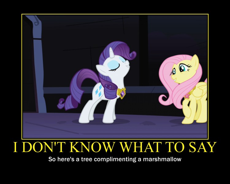 rarity and fluttershy demotivational by 