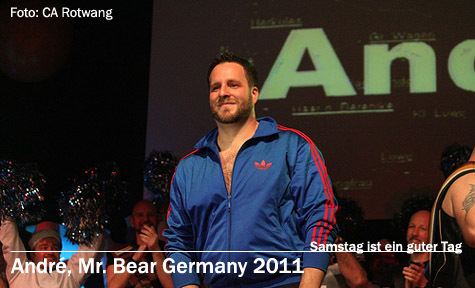 mr bear germany 2011 by rotwang