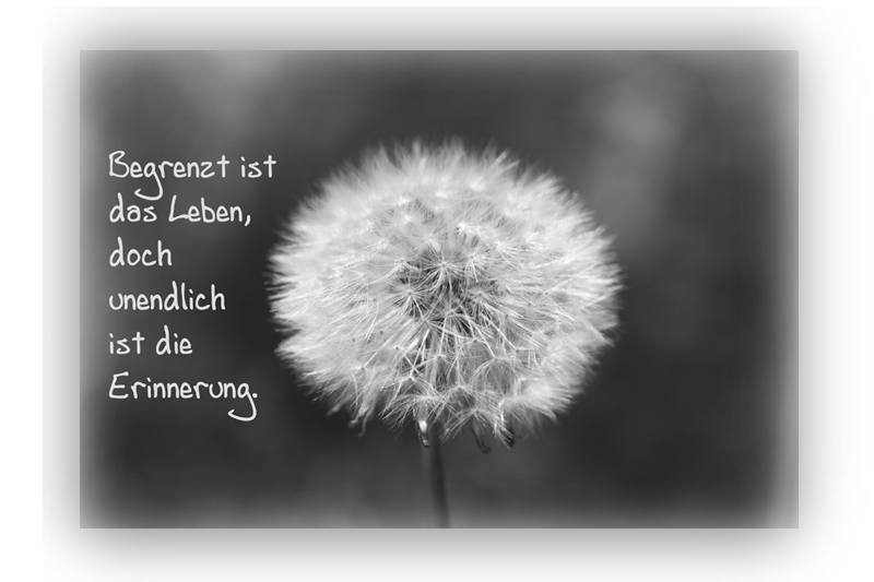 zitate abschied tod vater