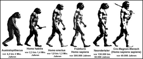 evolution grafik