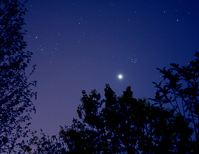 Venus Pleiades Michel Hersen IMG large 0