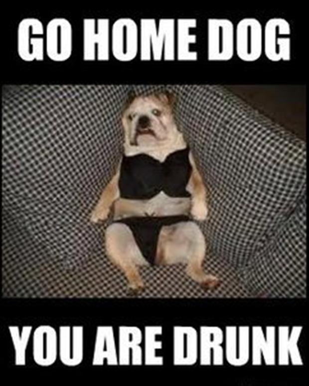 funny-go-home-youre-drunk-meme-7