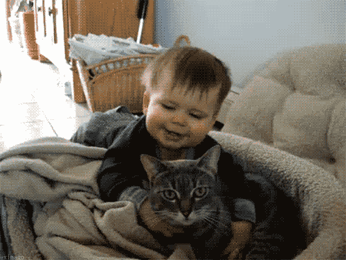 Baby-Hugging-Cat