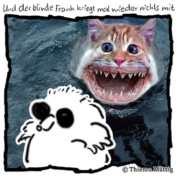 Das lustige Google Spiel 070428 katzenfisch