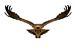 golden eagle front by arnatornwolf-d5e68