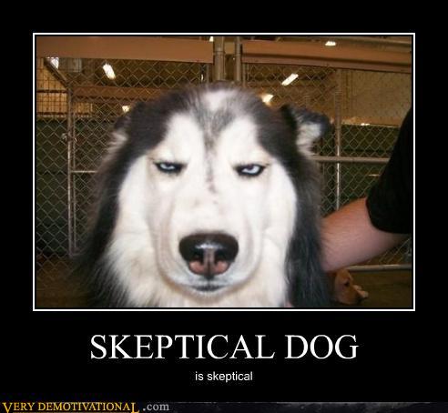 skeptical2Bdog