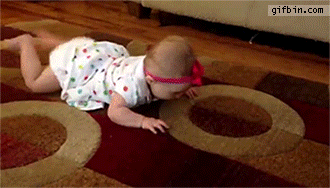 1423072608 dog shows baby how to crawl