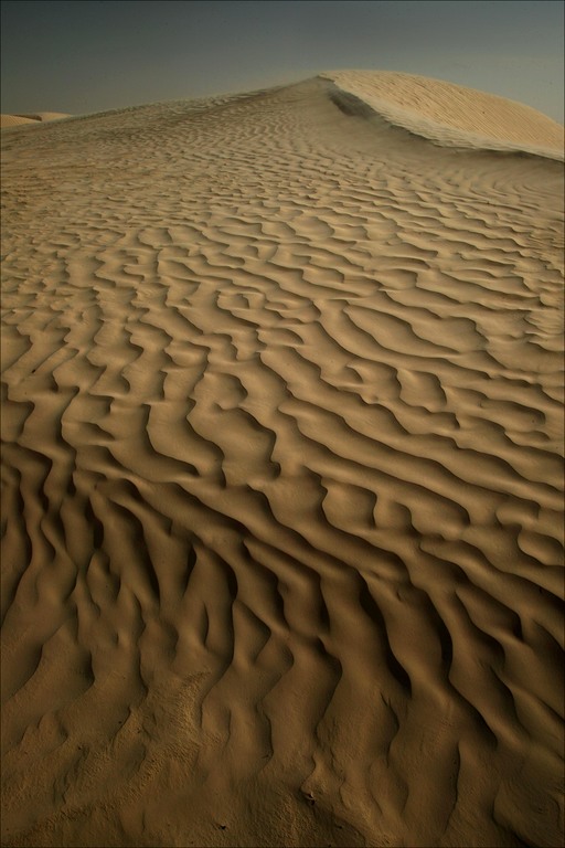 sahara desert sand dune