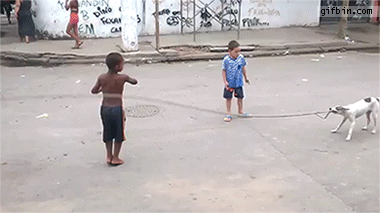 1444064529 dog plays jump rope with kids