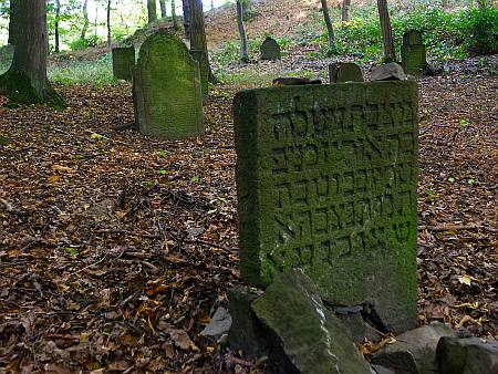 01g-Friedhof Burg Rheineck