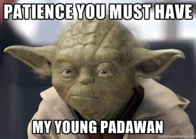t5b2889_patience_yoda.jpg?bc