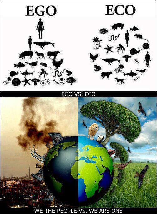 ego vs eco1