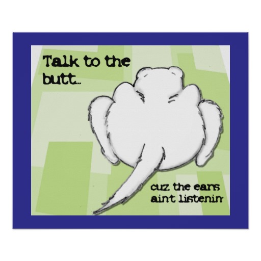 funny ferret talk to the butt poster-ra1