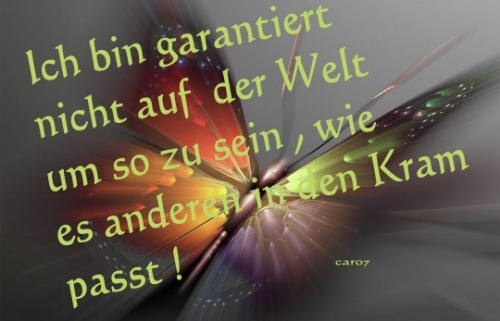 weise zitate sokrates