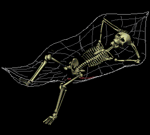 skelett-0024