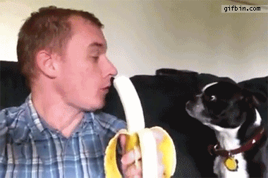 1355768377 sharing banana with dog