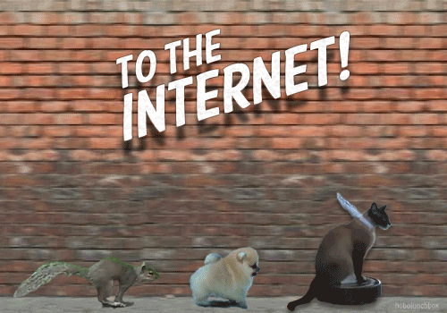 to-the-INTERNET