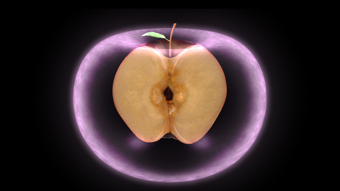 the torus   apple by ocelot0-d57lpuk