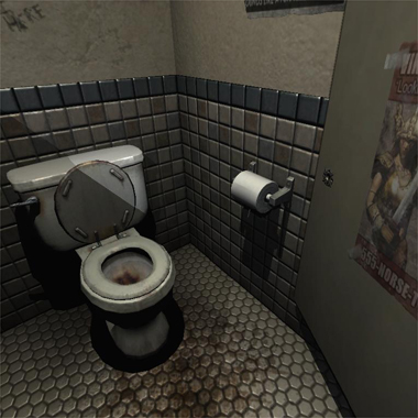 toilet12