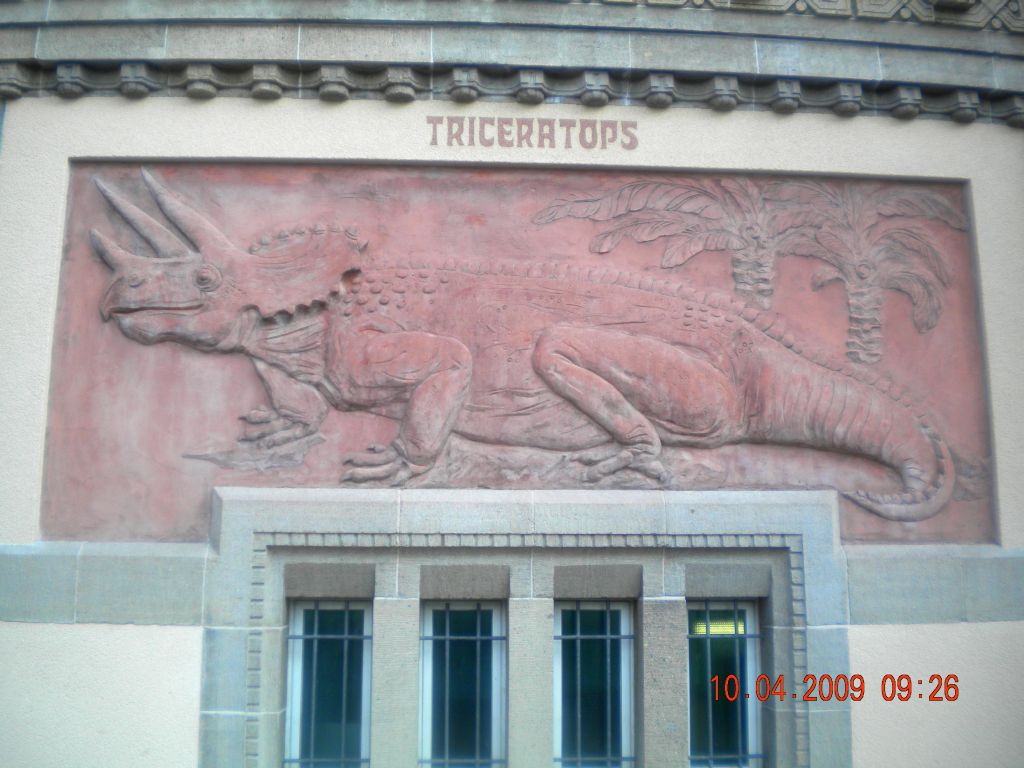 02. Triceratops 1024x768