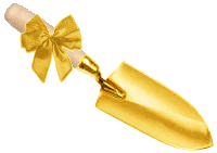 goldene-schaufel