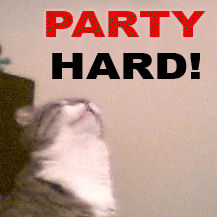 http://www.allmystery.de/i/t8962e3_party_hard_cat.gif