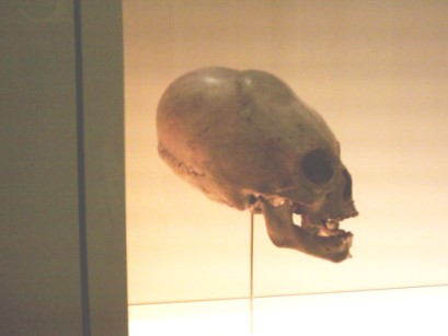 h6VV95 Alien Skull 6